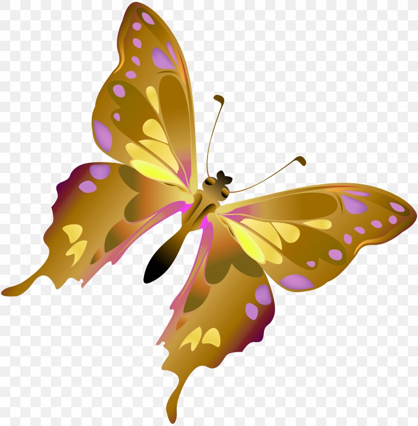 Butterfly Insect Dragonfly Moth Clip Art, PNG, 3790x3872px, Butterfly, Animal, Arthropod, Brush Footed Butterfly, Butterflies And Moths Download Free