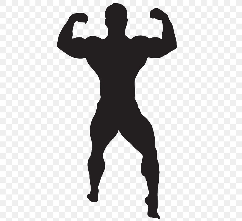Clip Art Bodybuilding Exercise, PNG, 750x750px, Bodybuilding, Arm, Exercise, Fitness Centre, Logo Download Free