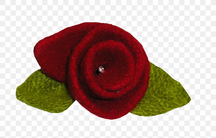 Garden Roses Cut Flowers Petal Wool, PNG, 1600x1027px, Garden Roses, Cut Flowers, Flower, Flowering Plant, Garden Download Free