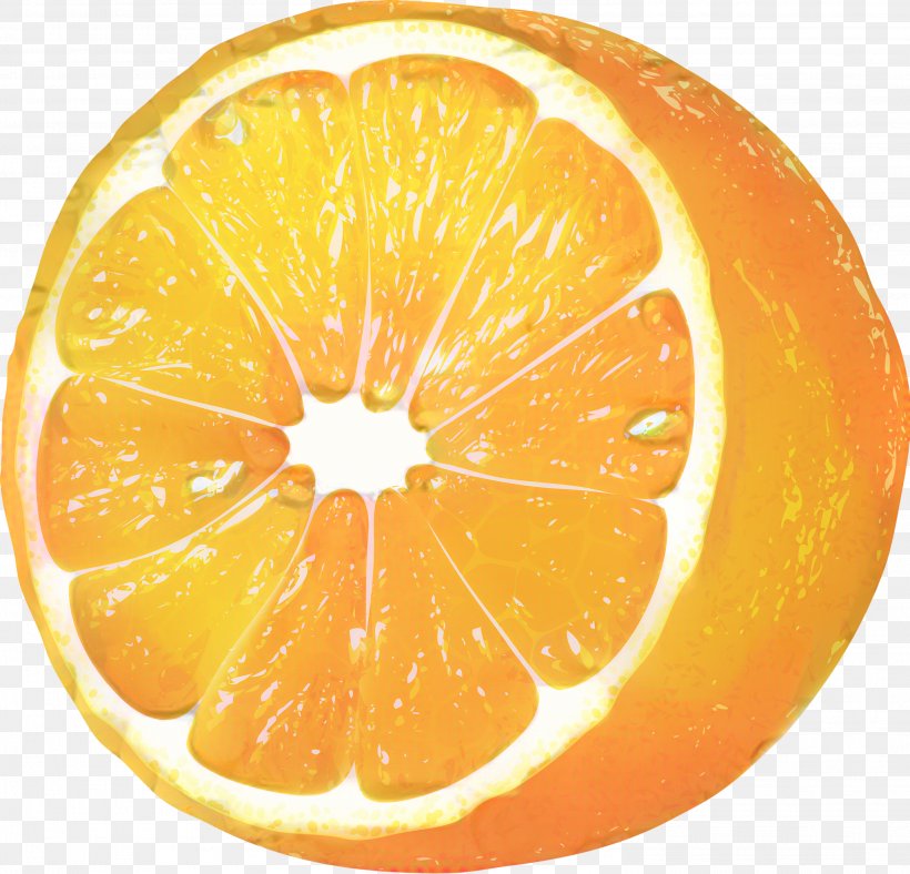 Lemon Cartoon, PNG, 2994x2879px, Mandarin Orange, Bitter Orange, Citric Acid, Citrus, Citrus Fruit Download Free