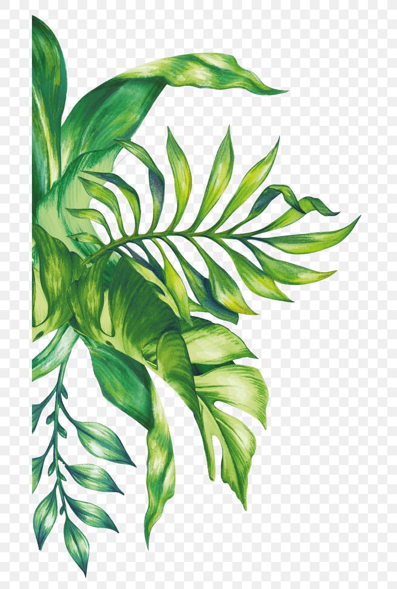 Newmarket Hotel Leaf Stock Photography, PNG, 688x1216px, Leaf, Art, Branch, Drawing, Flower Download Free