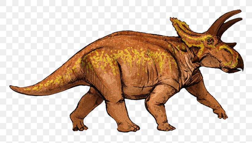 Tyrannosaurus Velociraptor Dinosaur Clip Art, PNG, 800x465px, Tyrannosaurus, Anchiceratops, Animal Figure, Dinosaur, Extinction Download Free