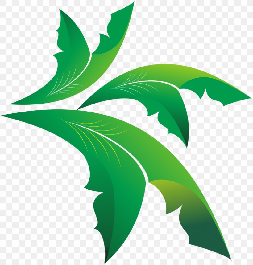 Leaf Olive Euclidean Vector, PNG, 826x867px, Leaf, Grass, Green, Olive, Olive Leaf Download Free
