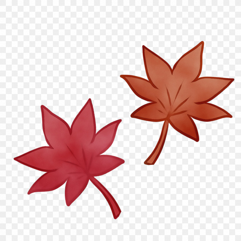 Maple Leaf, PNG, 1200x1200px, Autumn Cartoon, Biology, Leaf, Maple, Maple Leaf Download Free