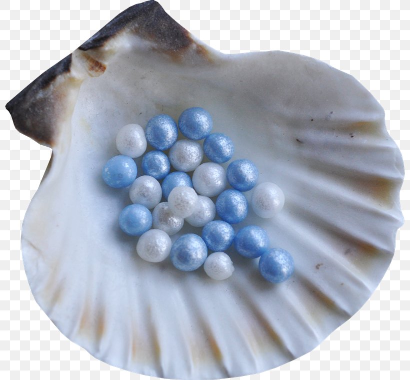 Seashell Snail Conchology Clip Art, PNG, 800x759px, Seashell, Blue, Button, Conch, Conchology Download Free