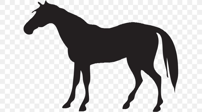Vector Graphics Andalusian Horse Black Clip Art Illustration, PNG, 629x454px, Andalusian Horse, Black, Black And White, Bridle, Collection Download Free