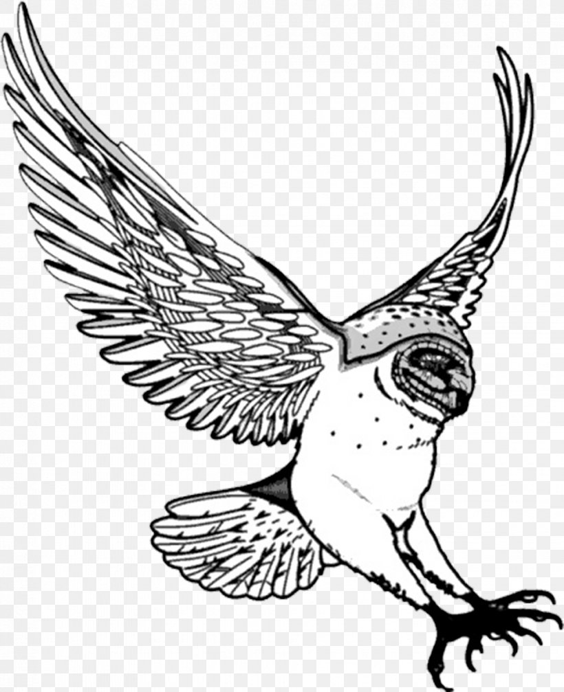 Barn Owl Drawing Clip Art, PNG, 977x1200px, Owl, Artwork, Barn Owl, Beak, Bird Download Free