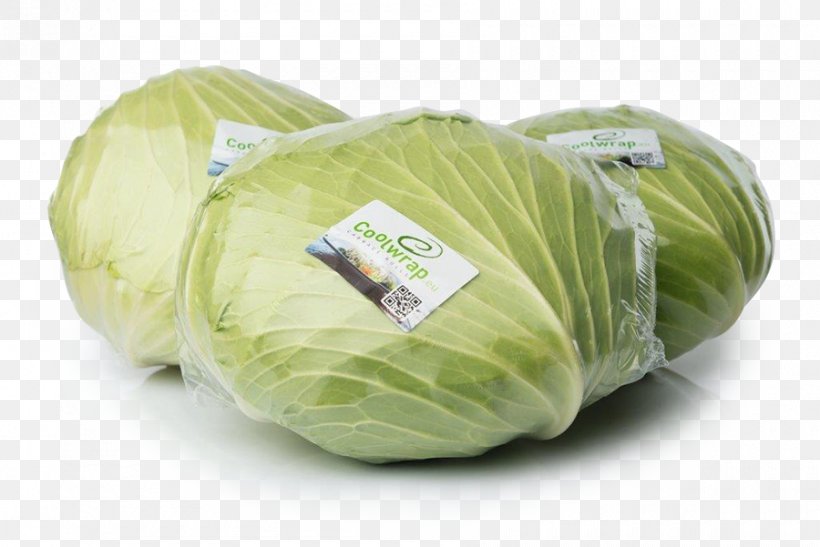 Cabbage Roll Wrap Lasagne Stuffing, PNG, 900x601px, Cabbage, Bejo Zaden Poland Sp Z Oo, Brassica, Brassica Oleracea, Cabbage Roll Download Free