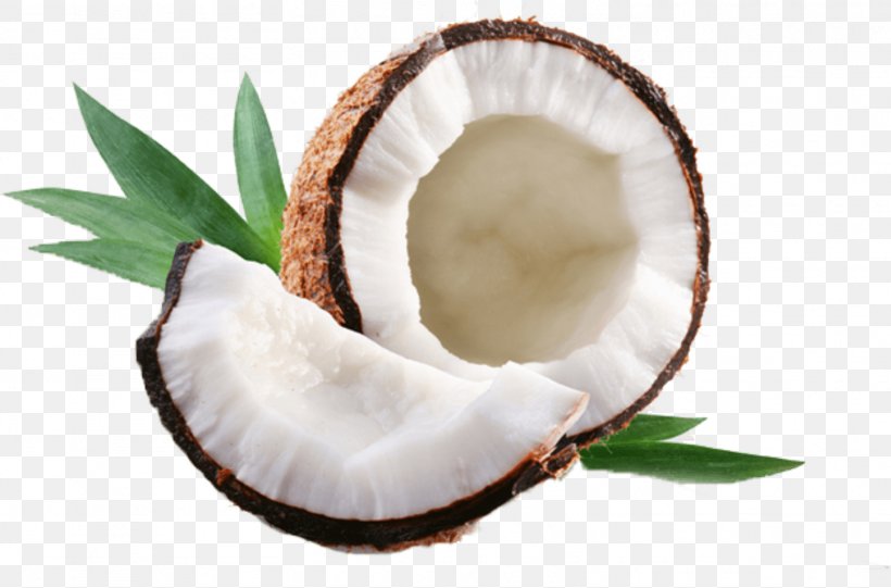 Coconut Water Coconut Oil Flavor Concentrate, PNG, 1563x1033px, Coconut Water, Coconut, Coconut Oil, Concentrate, Extract Download Free
