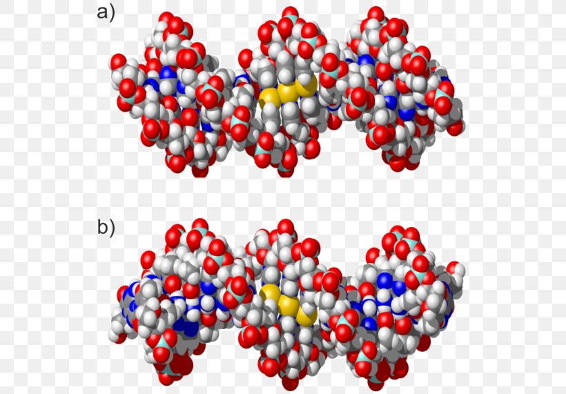 Imidazole Pyridine Bead Base Pair, PNG, 537x571px, Imidazole, Art, Base, Base Pair, Bead Download Free