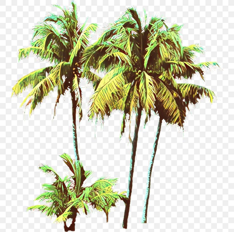 Palm Tree, PNG, 744x811px, Cartoon, Arecales, Coconut, Desert Palm, Elaeis Download Free