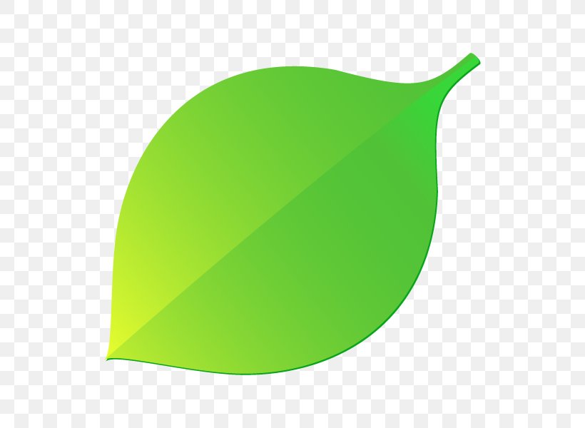 Illustration Leaf Product Design Branch, PNG, 600x600px, Leaf, Branch, Color, Color Gradient, Computer Graphics Download Free