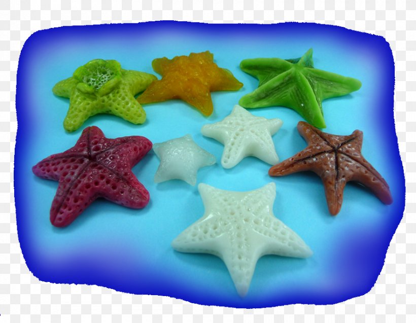 Marine Invertebrates Starfish Echinoderm Organism, PNG, 880x684px, Watercolor, Cartoon, Flower, Frame, Heart Download Free