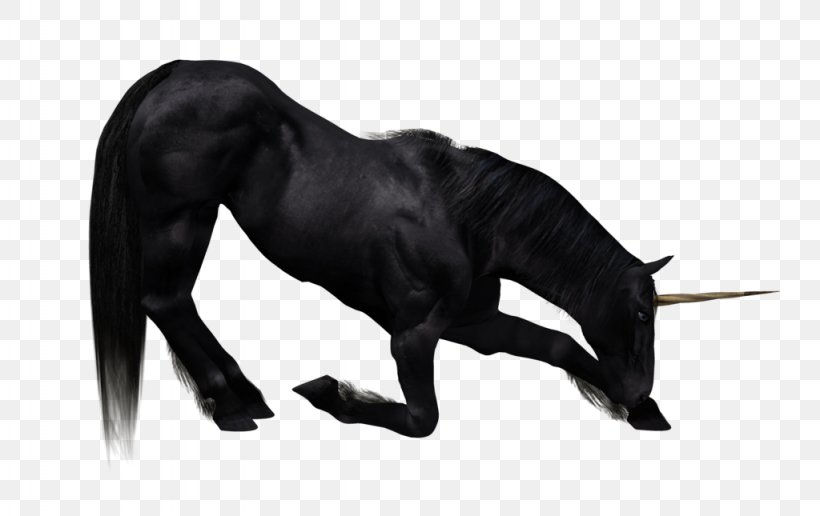 The Black Unicorn Wallpaper, PNG, 1024x645px, 3d Computer Graphics, The Black Unicorn, Black, Black And White, Drawing Download Free