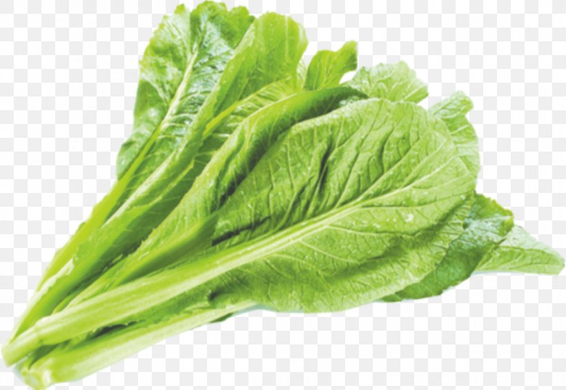 Celtuce Romaine Lettuce Choy Sum Vegetable Brassica Juncea, PNG, 1106x764px, Celtuce, Bok Choy, Brassica Juncea, Cabbage, Chard Download Free