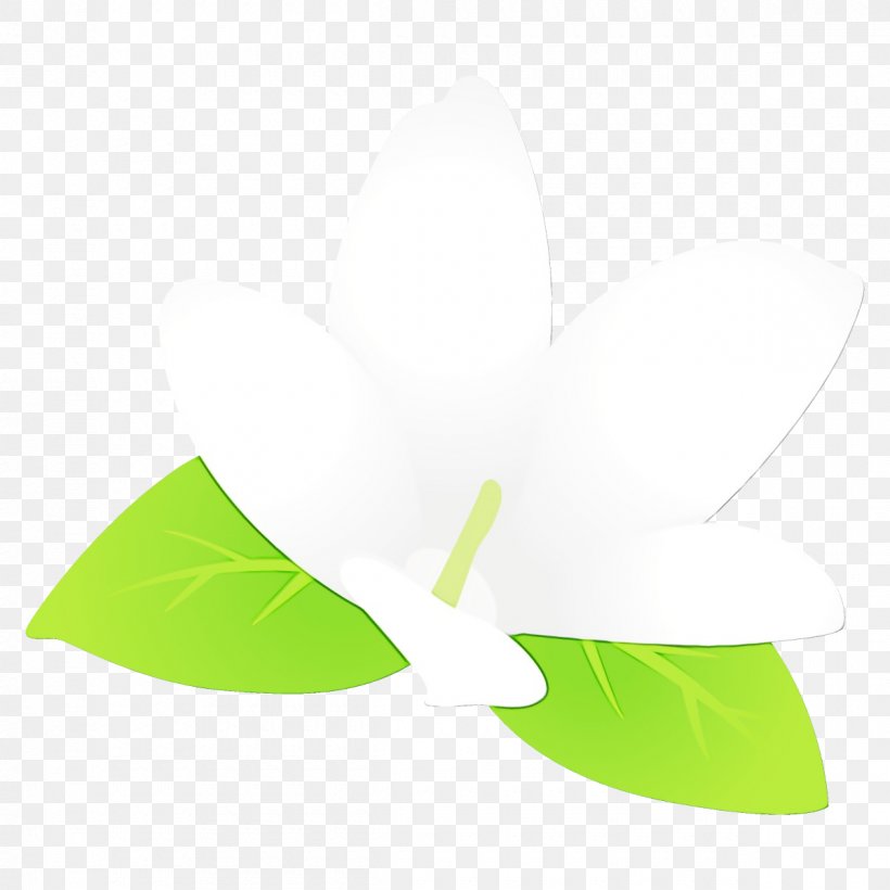 Green Leaf White Plant Logo, PNG, 1200x1200px, Watercolor, Green, Leaf, Logo, Paint Download Free