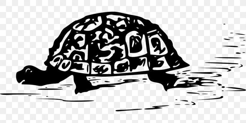 Turtle Reptile T-shirt Hermann's Tortoise, PNG, 1280x640px, Turtle, Animal, Art, Black, Black And White Download Free