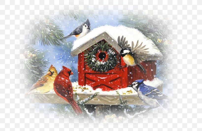 Bird Christmas Tree Northern Cardinal Christmas Decoration, PNG, 709x532px, Bird, Art, Christmas, Christmas Card, Christmas Decoration Download Free