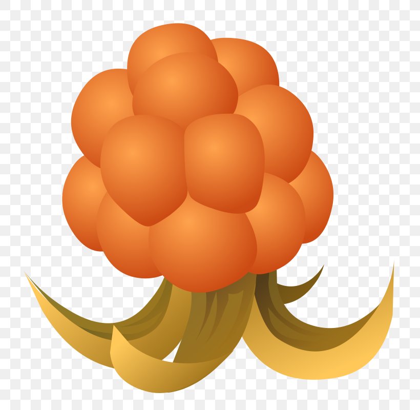 Cloudberry Food Clip Art, PNG, 800x800px, Cloudberry, Apple, Berry, Drawing, Food Download Free