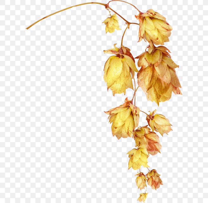 Flower Leaf Gold, PNG, 619x800px, Flower, Artificial Flower, Branch, Flowering Plant, Gold Download Free