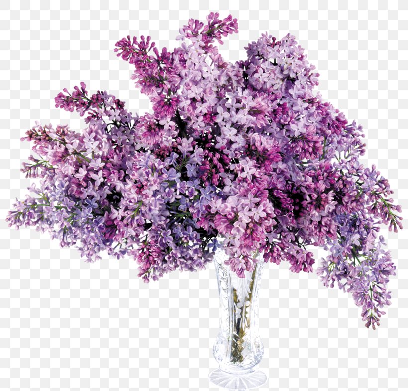 Lavender Purple Lilac Clip Art, PNG, 800x786px, Lavender, Artificial Flower, Blossom, Branch, Color Download Free