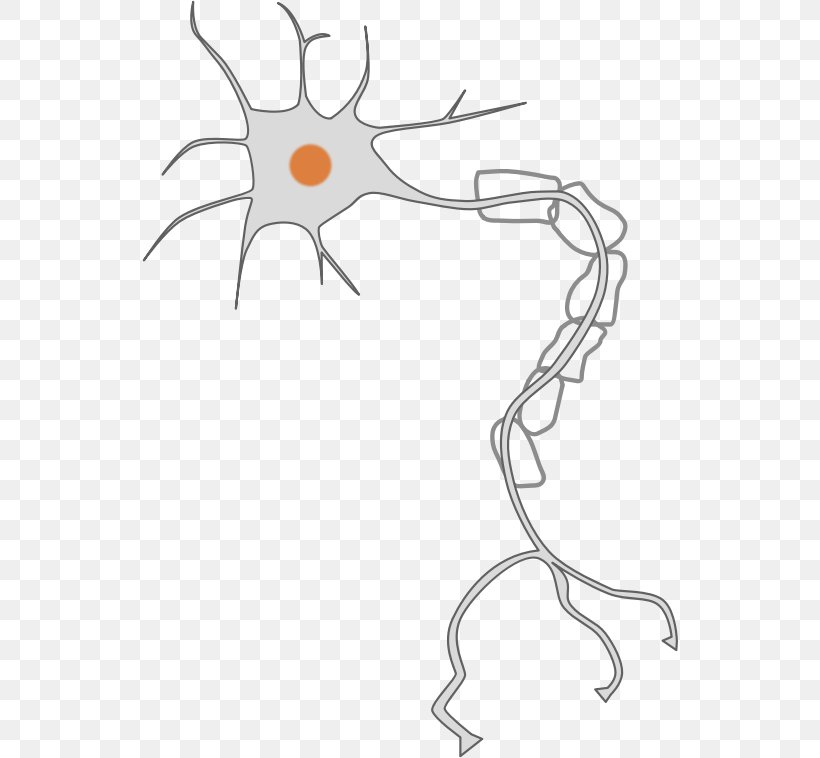 Neuron Nervous System Axon Clip Art, PNG, 536x758px, Watercolor, Cartoon, Flower, Frame, Heart Download Free