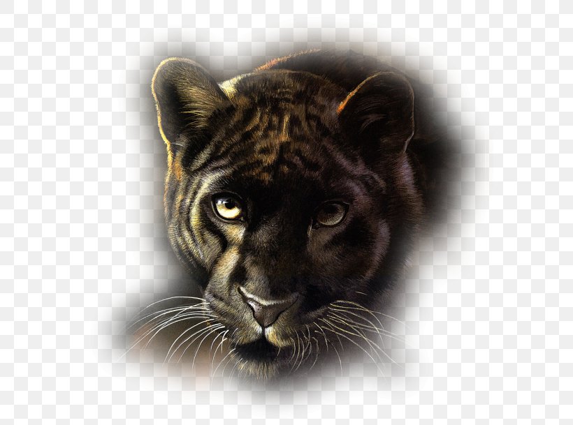 Panther Cat Leopard Tiger, PNG, 592x609px, Panther, Art, Artist, Big Cats, Black Panther Download Free
