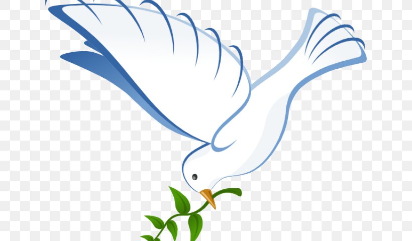 Pigeons And Doves Clip Art Doves As Symbols Release Dove, PNG, 640x480px, Pigeons And Doves, Beak, Bird, Columbiformes, Doves As Symbols Download Free