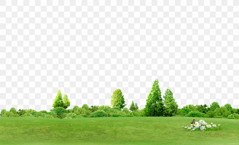 Chroma Key Tree Computer File, PNG, 1980x1203px, Green, Color, Field, Grass, Grass Family Download Free