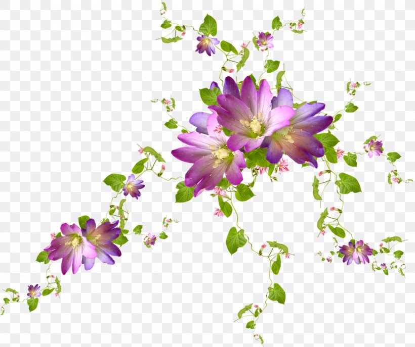 Cut Flowers Purple Violet Floral Design, PNG, 1024x858px, Flower, Annual Plant, Blossom, Branch, Color Download Free