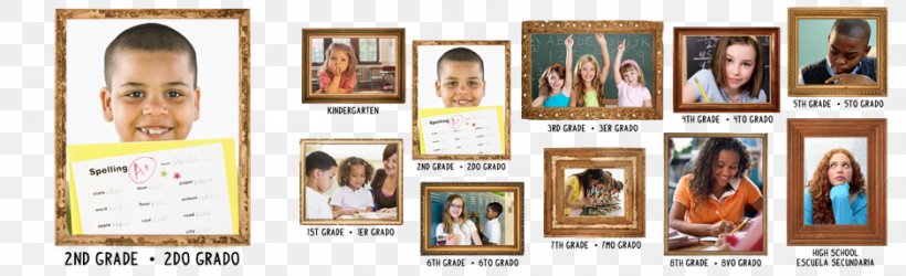 Hair Coloring Advertising Picture Frames Font, PNG, 940x287px, Hair Coloring, Advertising, Hair, Media, Picture Frame Download Free