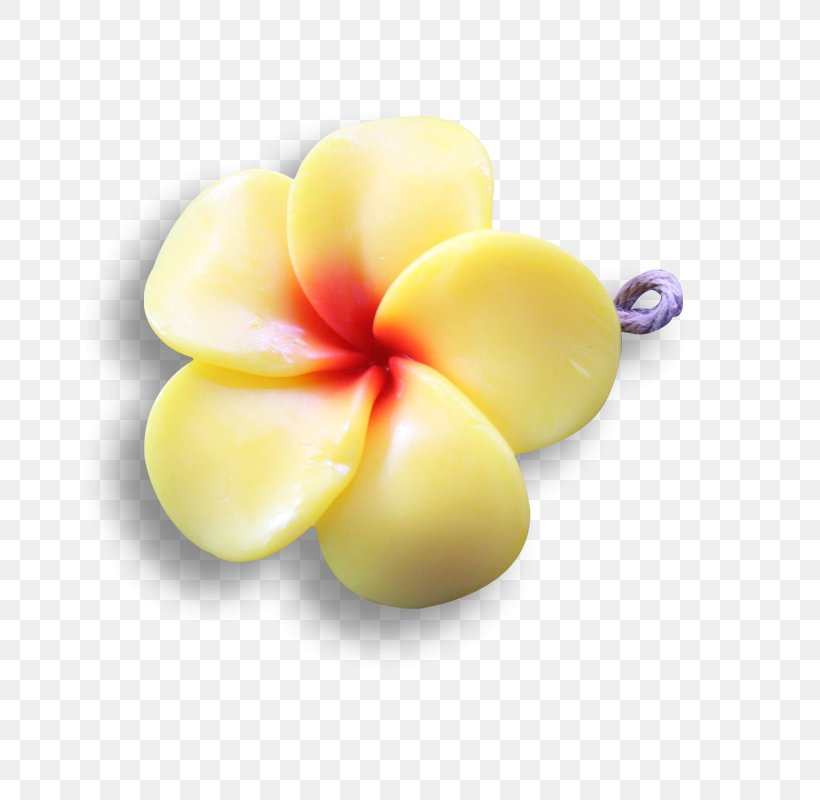 Oil Soap Frangipani Blue Yellow, PNG, 800x800px, Oil, Base, Blue, Cake, Flower Download Free