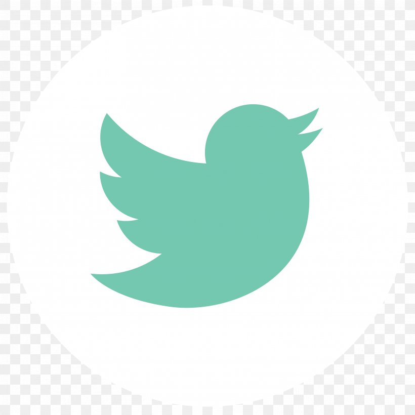 Social Media Symbol User Pond5, PNG, 3334x3334px, Social Media, Advertising, Beak, Bird, Blog Download Free