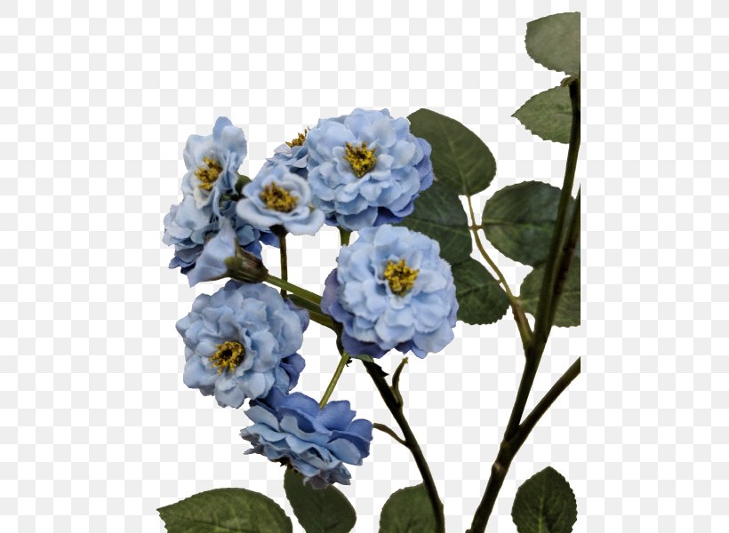 Floral Design Cut Flowers Rose Family, PNG, 800x600px, Floral Design, Blue, Branch, Cut Flowers, Flora Download Free