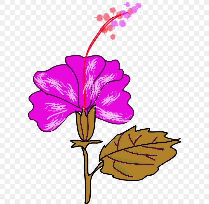 Flower Hawaiian Hibiscus Shoeblackplant Clip Art, PNG, 600x798px, Flower, Artwork, Botany, Branch, Color Download Free