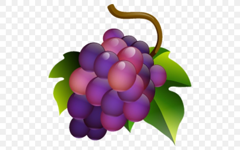 Muscadine Grape Common Grape Vine Wine, PNG, 512x512px, Muscadine Grape, Buffet, Common Grape Vine, Drink, Flowering Plant Download Free