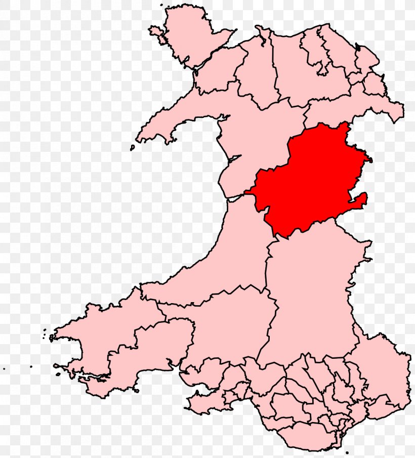 Wales Montgomeryshire Blaenau Gwent Rhondda Electoral District, PNG, 1200x1325px, Wales, Area, Election, Electoral District, Fictional Character Download Free