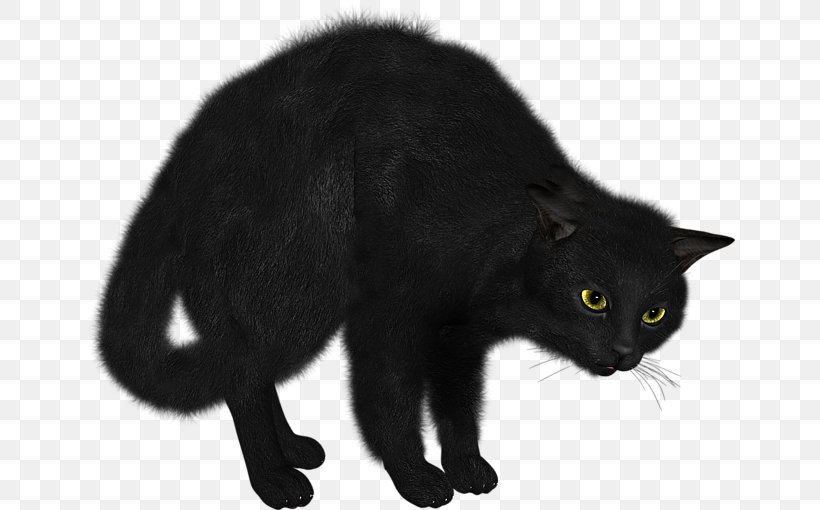 Black Cat Bombay Cat Domestic Short-haired Cat Clip Art, PNG, 650x510px, Black Cat, Black, Bombay, Bombay Cat, Carnivoran Download Free
