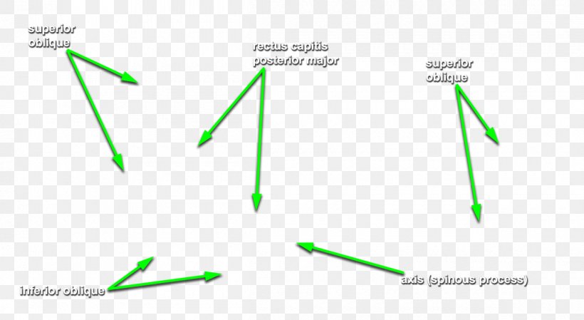 Diagram Line Green, PNG, 1200x658px, Diagram, Grass, Green, Text, Triangle Download Free