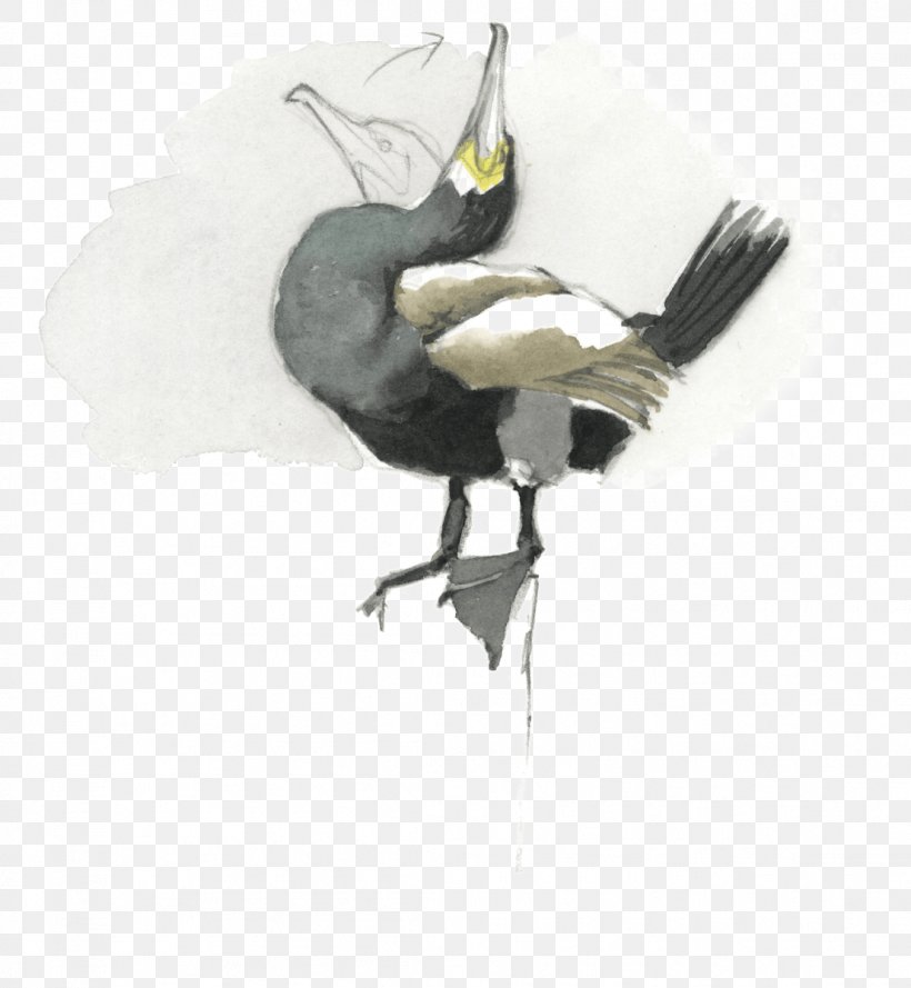 Feather Beak, PNG, 1106x1200px, Feather, Beak, Bird, Crane, Crane Like Bird Download Free