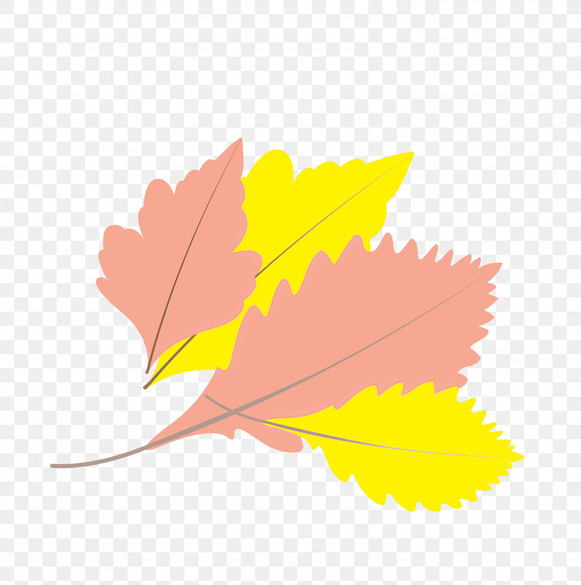 Maple Leaf, PNG, 2976x3000px, Autumn Leaf, Cartoon Leaf, Fall Leaf, Flower, Leaf Download Free