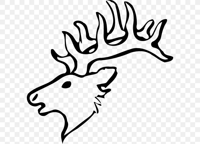 White-tailed Deer Reindeer Drawing Clip Art, PNG, 600x589px, Deer, Antler, Artwork, Black And White, Chital Download Free