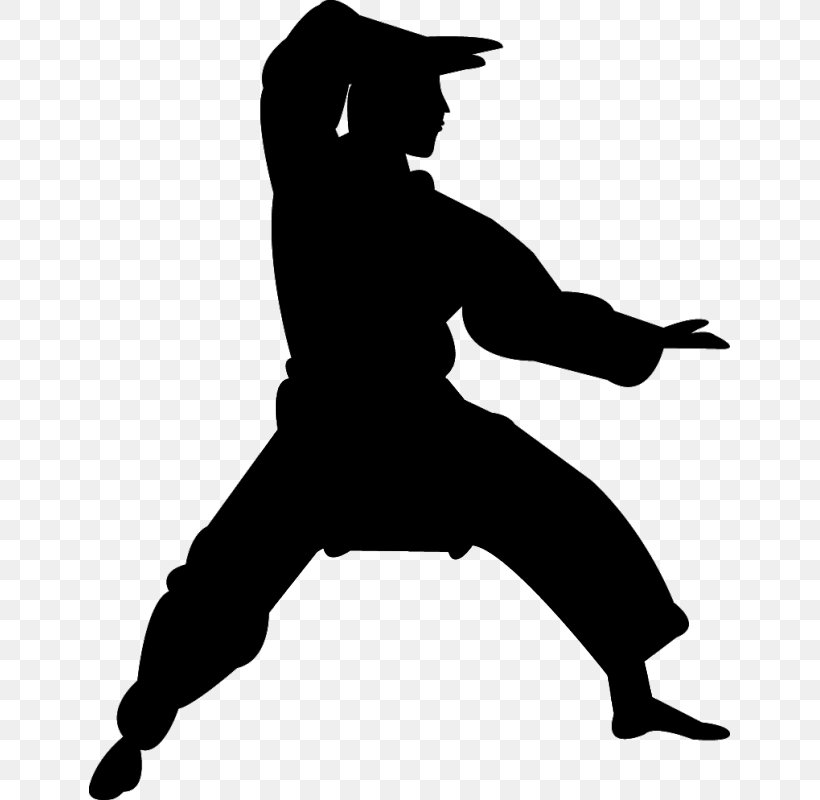 Chinese Martial Arts Karate Silhouette Kata, PNG, 800x800px, Chinese Martial Arts, Art, Black, Black And White, Black Belt Download Free