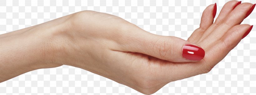Hand Arm, PNG, 3000x1120px, Hand, Arm, Beauty, Clipping Path, Finger Download Free