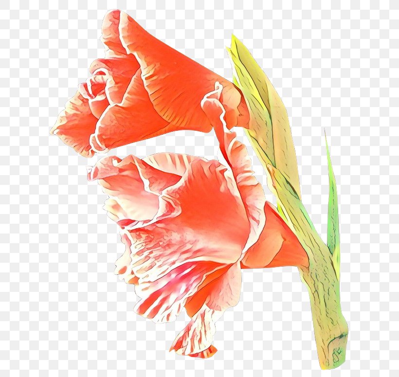 Orange, PNG, 650x775px, Cartoon, Anthurium, Flower, Orange, Peach Download Free