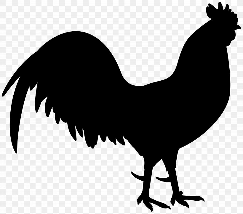 Chicken Rooster Clip Art Image Drawing, PNG, 8000x7066px, Chicken, Art, Beak, Bird, Blackandwhite Download Free