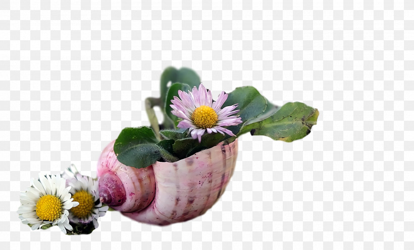 Flower Flowerpot, PNG, 1920x1166px, Flower, Flowerpot Download Free
