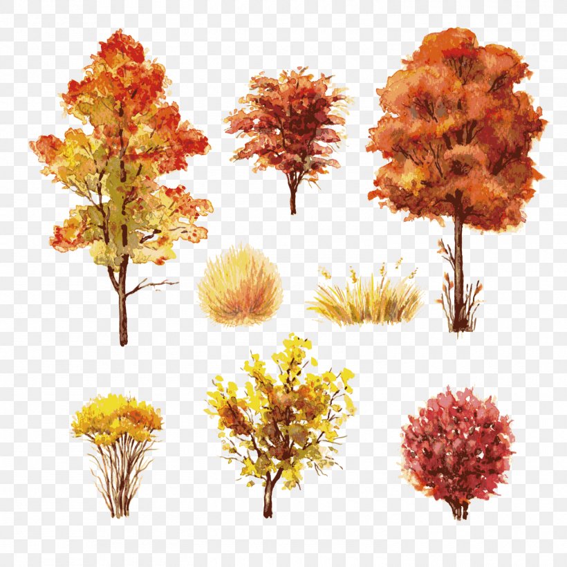 Shrub Autumn Leaf Color Tree, PNG, 1500x1500px, Tree, Autumn, Autumn Leaf Color, Branch, Chrysanths Download Free