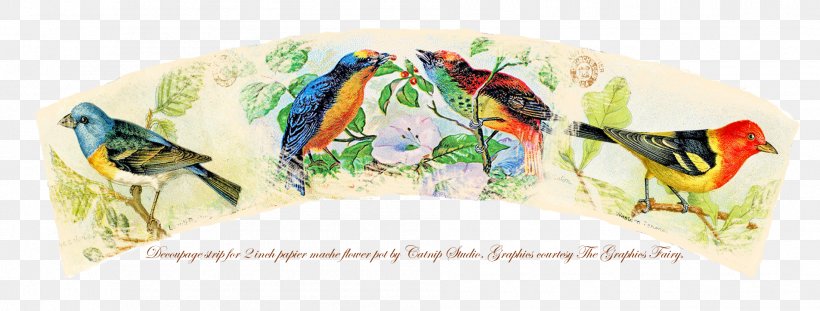 Bird Decoupage Paper Clip Art, PNG, 1905x723px, Bird, Art, Beak, Birdcage, Decoupage Download Free