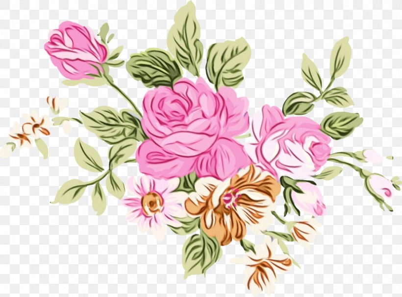 Floral Design Clip Art Watercolor Painting, PNG, 830x615px, Floral Design, Art, Botany, Cut Flowers, Drawing Download Free